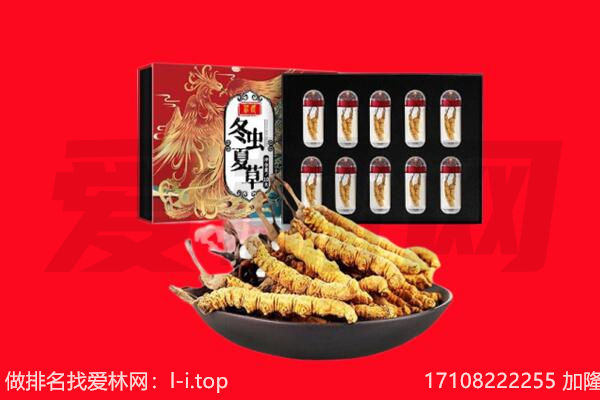 常德市回收虫草.jpg